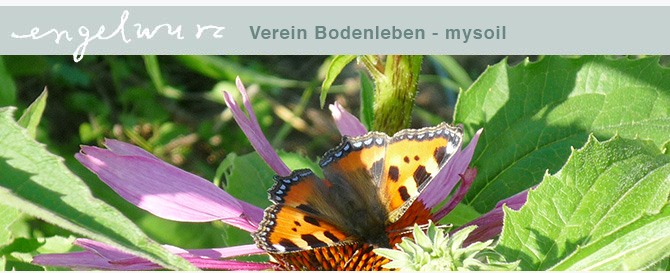 Bodenleben-mysoil